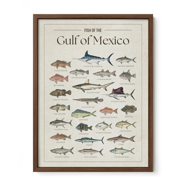 Gulf of Mexico Print