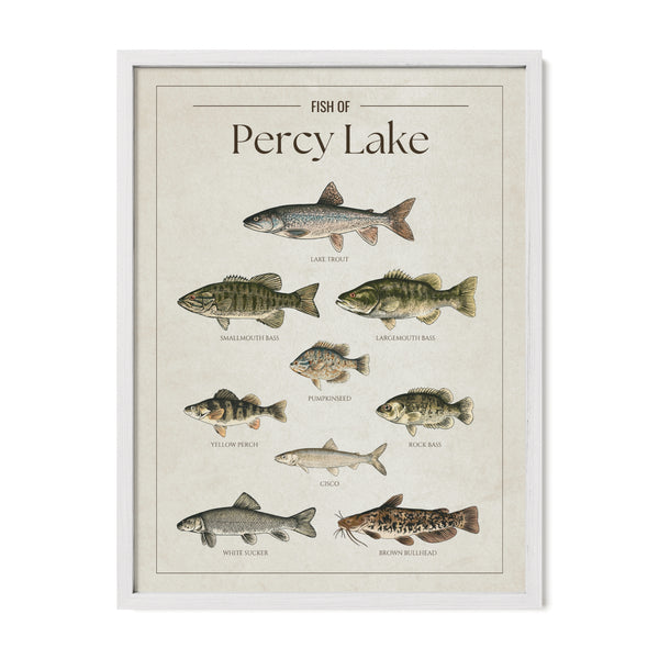 Percy Lake Print