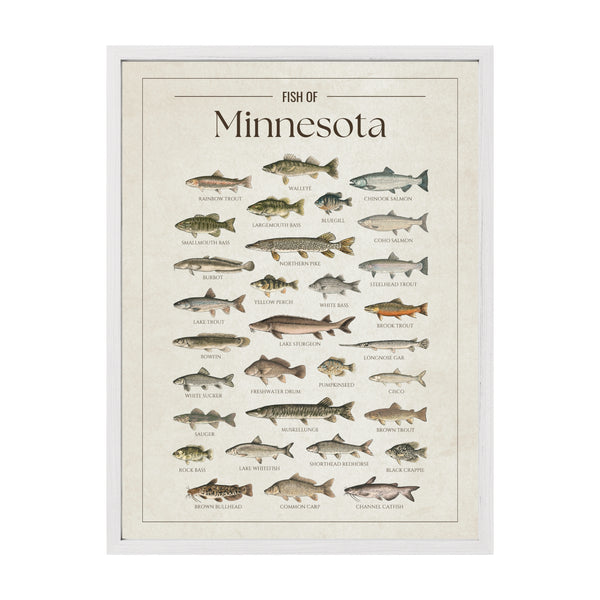 Minnesota Print