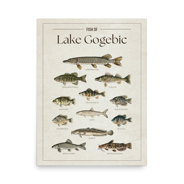 Lake Gogebic Print