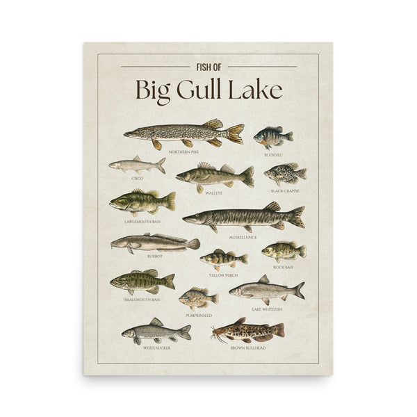 Big Gull Lake Print