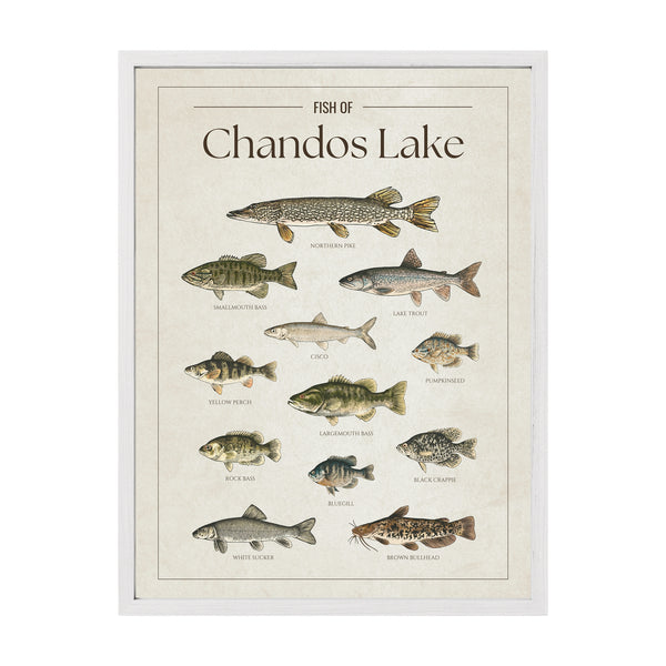 Chandos Lake Print