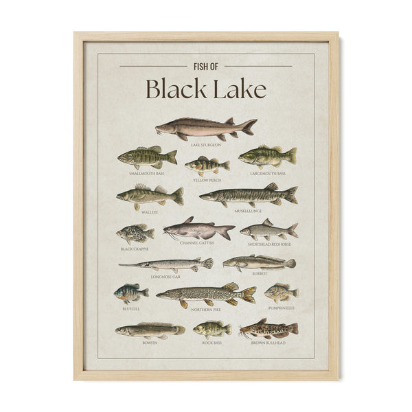 Black Lake (Michigan) Print