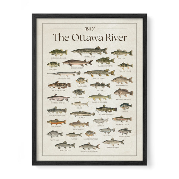 The Ottawa River Print