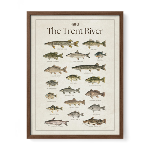 Trent River Print