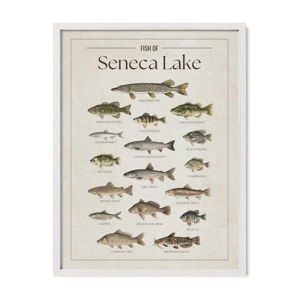 Seneca Lake Print