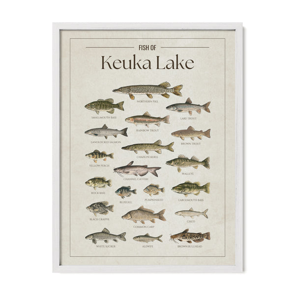 Keuka Lake Print