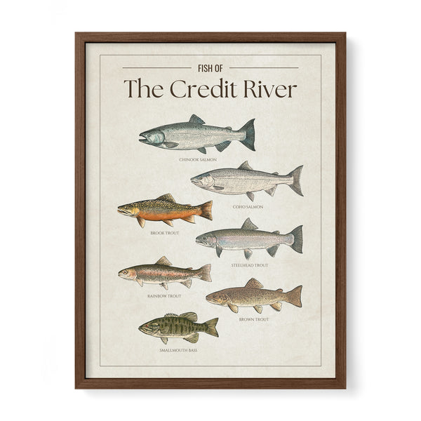 Credit River Print