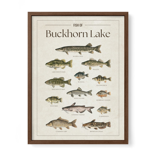 Buckhorn Lake Print