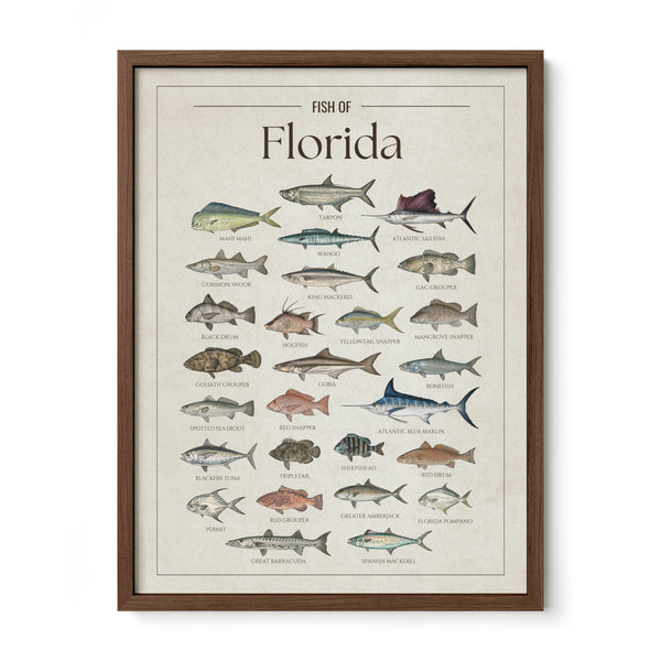 Florida Print