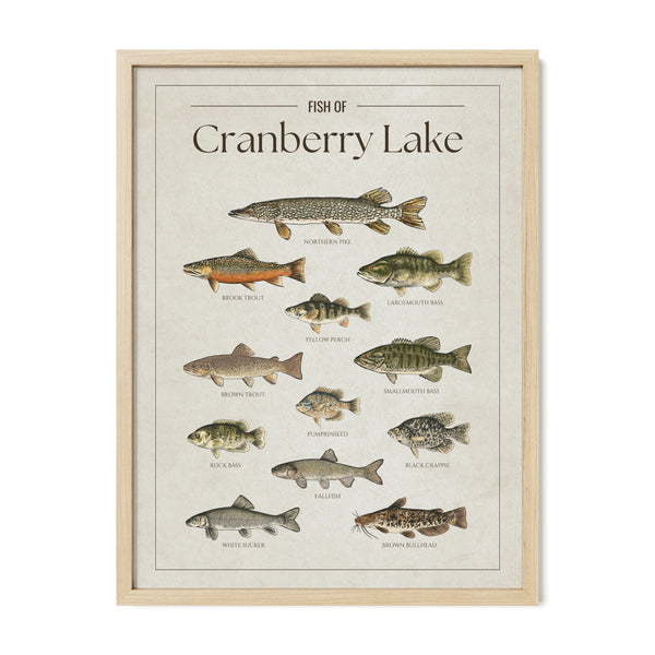 Cranberry Lake Print