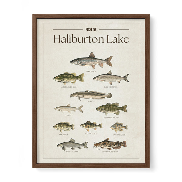 Haliburton Lake Print