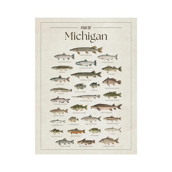 Michigan Print