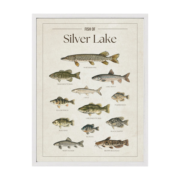Silver Lake Print