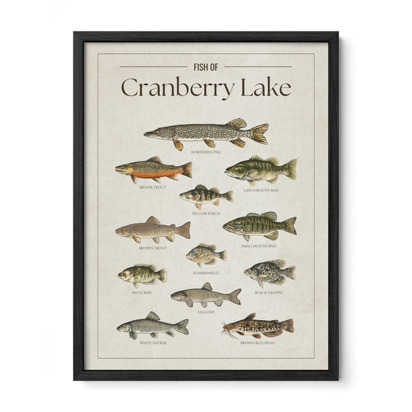 Cranberry Lake Print
