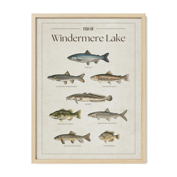 Windermere Lake Print