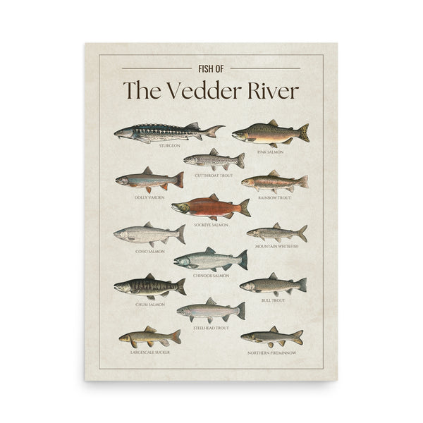 The Vedder River Print