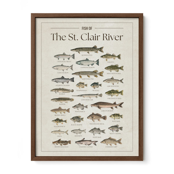 St. Clair River Print