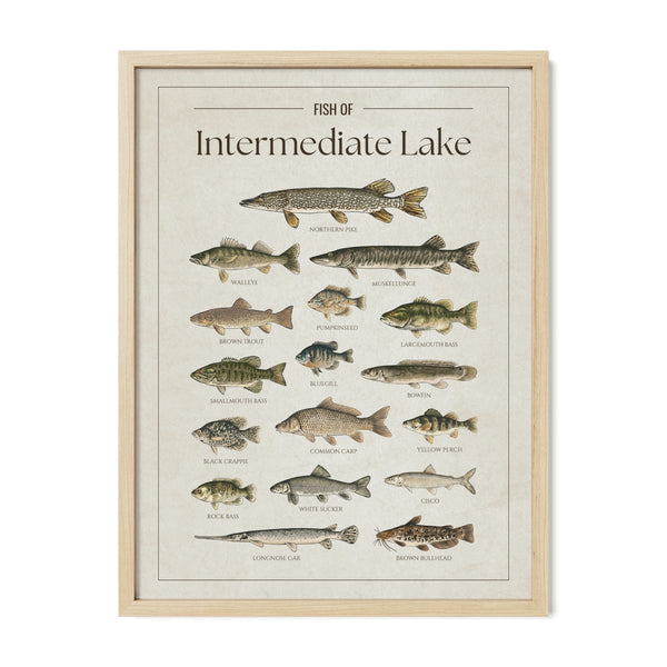 Intermediate Lake Print