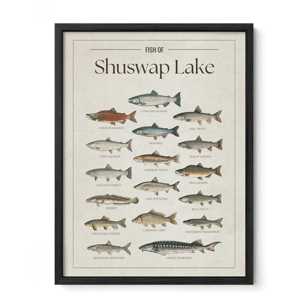 Shuswap Lake Print