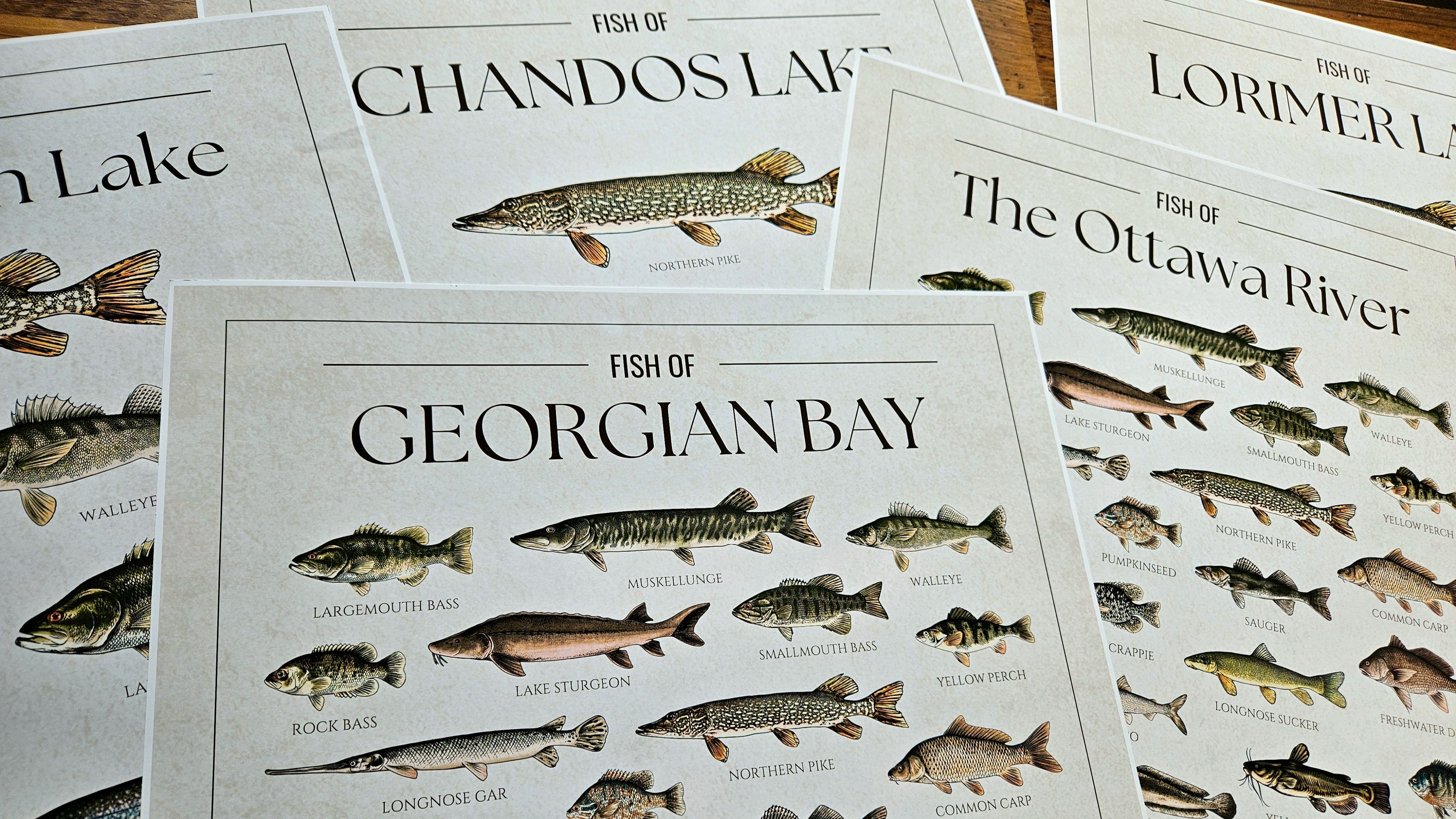 Fish Prints