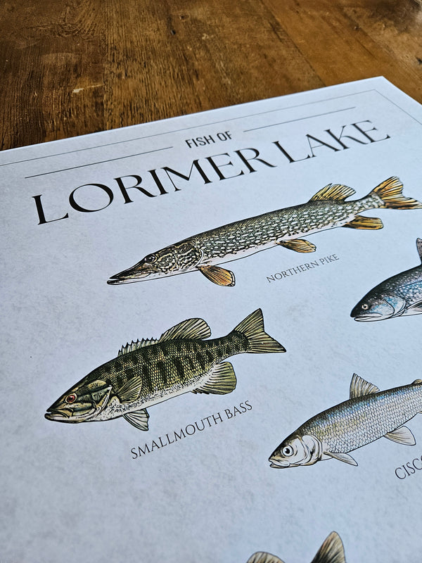 Custom Fish Chart - Print