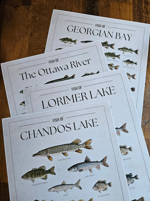 Custom Fish Chart - Print