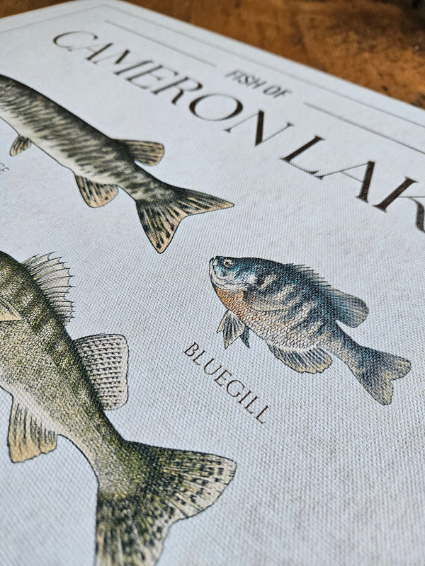 Custom Fish Chart - Canvas