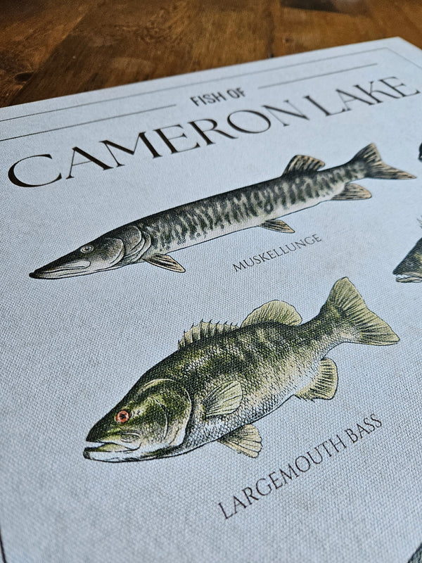Custom Fish Chart - Canvas
