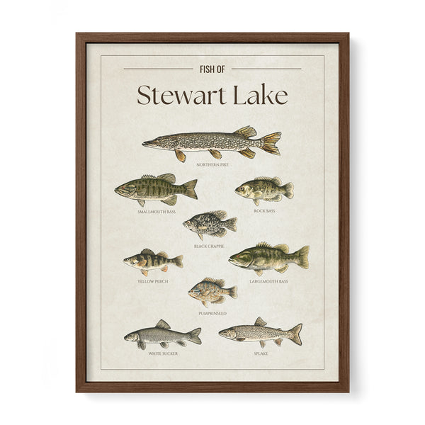Stewart Lake Print