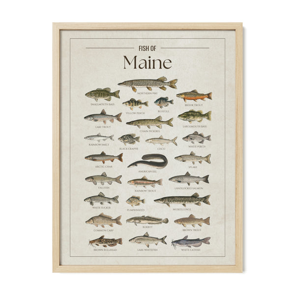 Maine Print