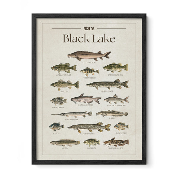 Black Lake (Michigan) Print