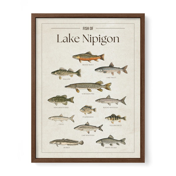 Lake Nipigon Print