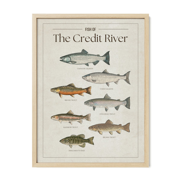 Credit River Print