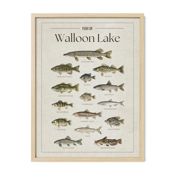 Walloon Lake Print