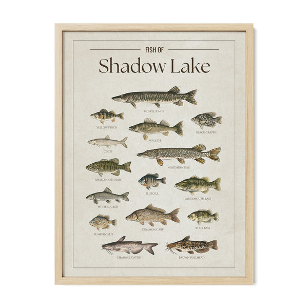 Shadow Lake Print