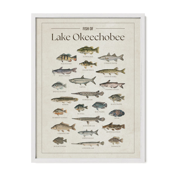 Lake Okeechobee Print