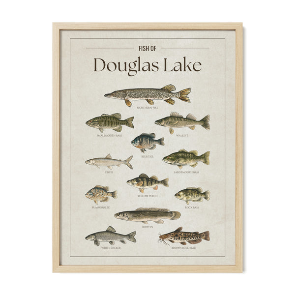Douglas Lake Print