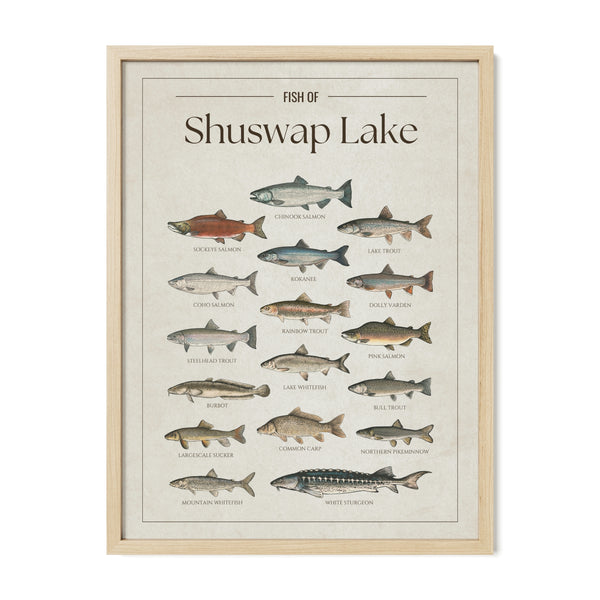 Shuswap Lake Print