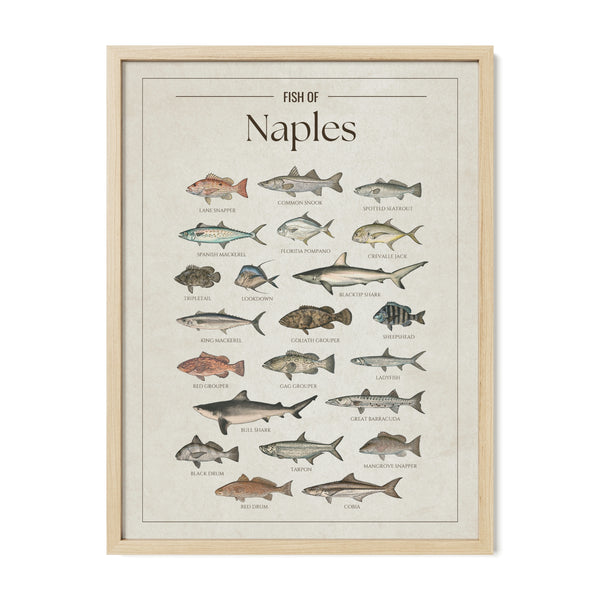 Naples Print