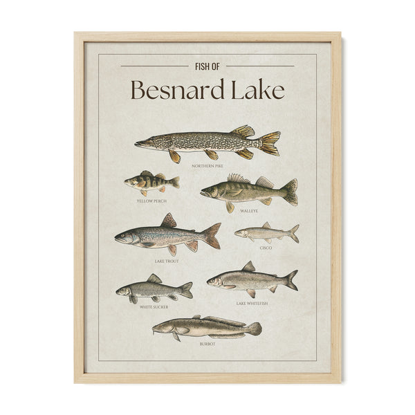 Besnard Lake Print