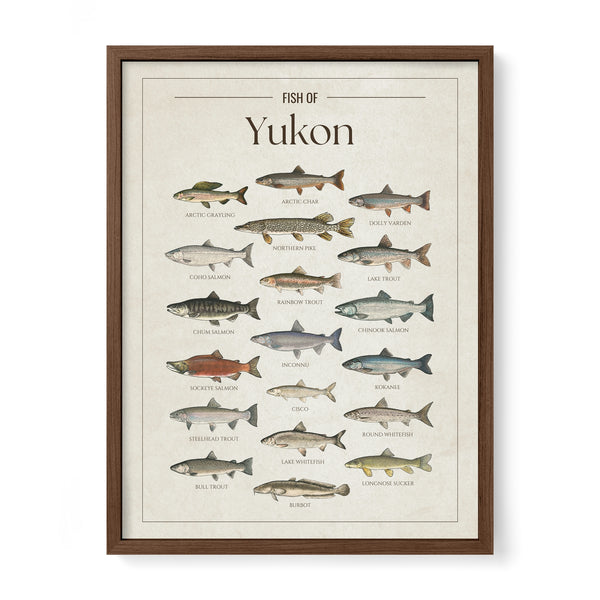 Yukon Print