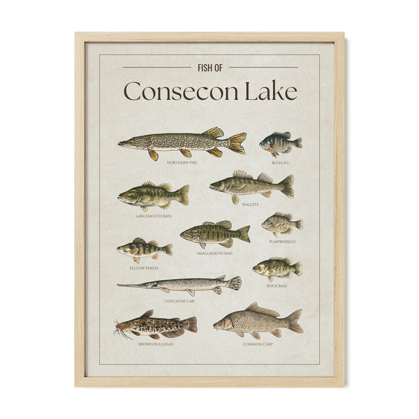 Consecon Lake Print