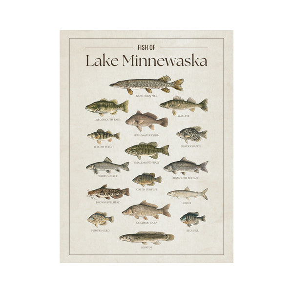 Lake Minnewaska Print