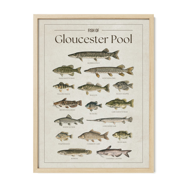 Gloucester Pool Print