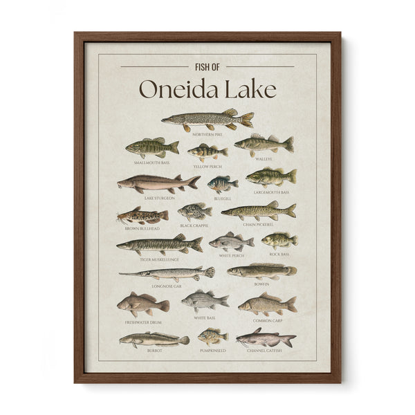 Oneida Lake Print