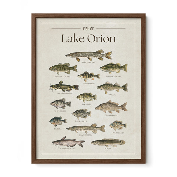 Lake Orion Print