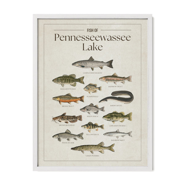 Pennesseewassee Lake Print
