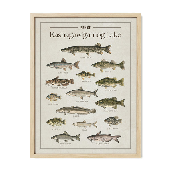 Kashagawigamog Lake Print