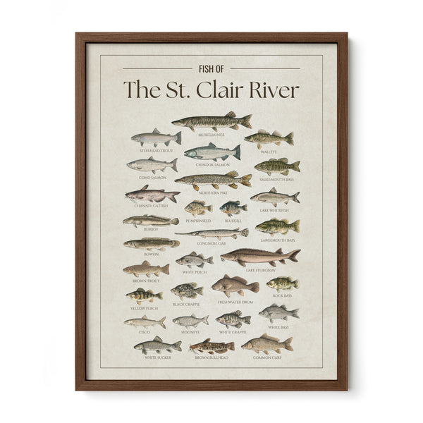 St. Clair River Print